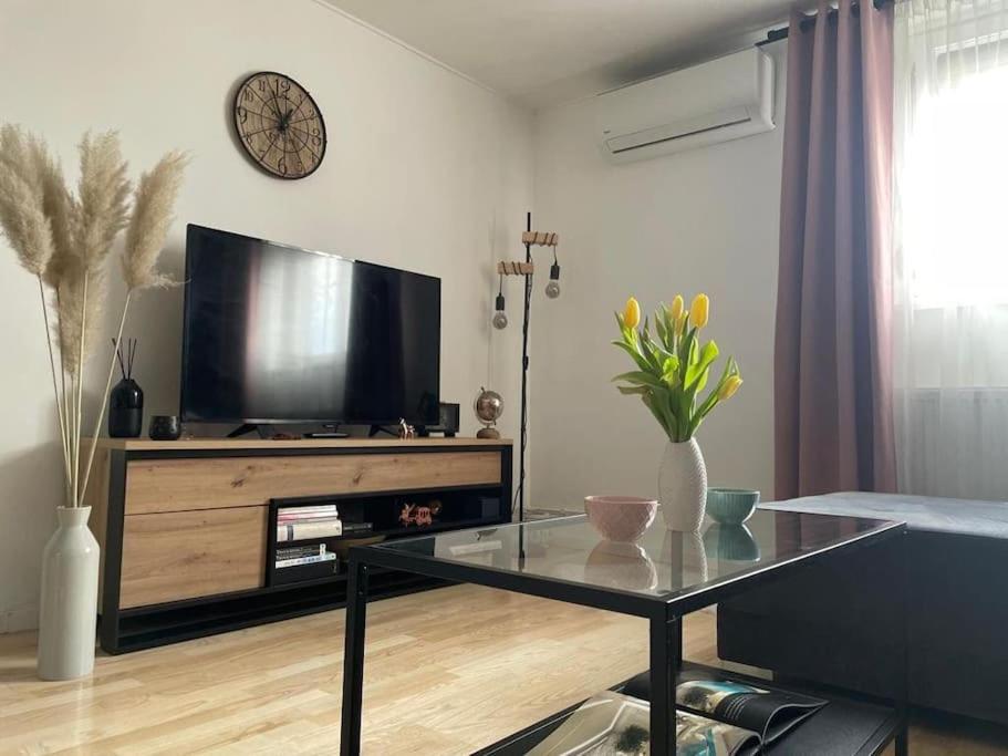 Ferienwohnung Prekrasan Mali Stan Matilda U Zagrebu Exterior foto