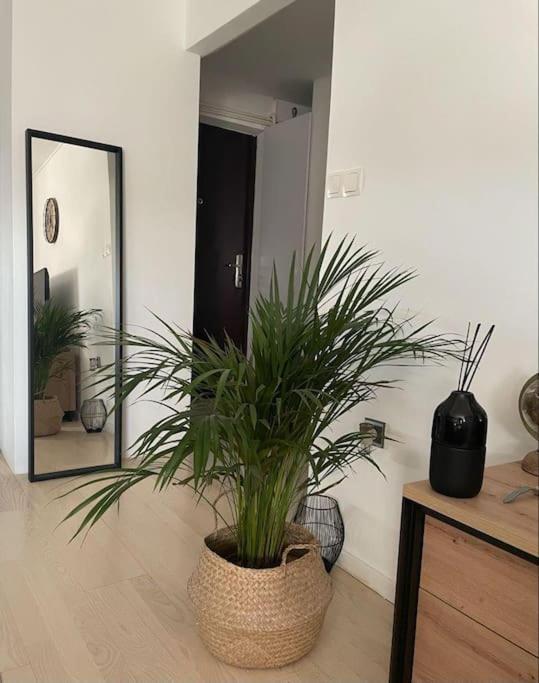 Ferienwohnung Prekrasan Mali Stan Matilda U Zagrebu Exterior foto